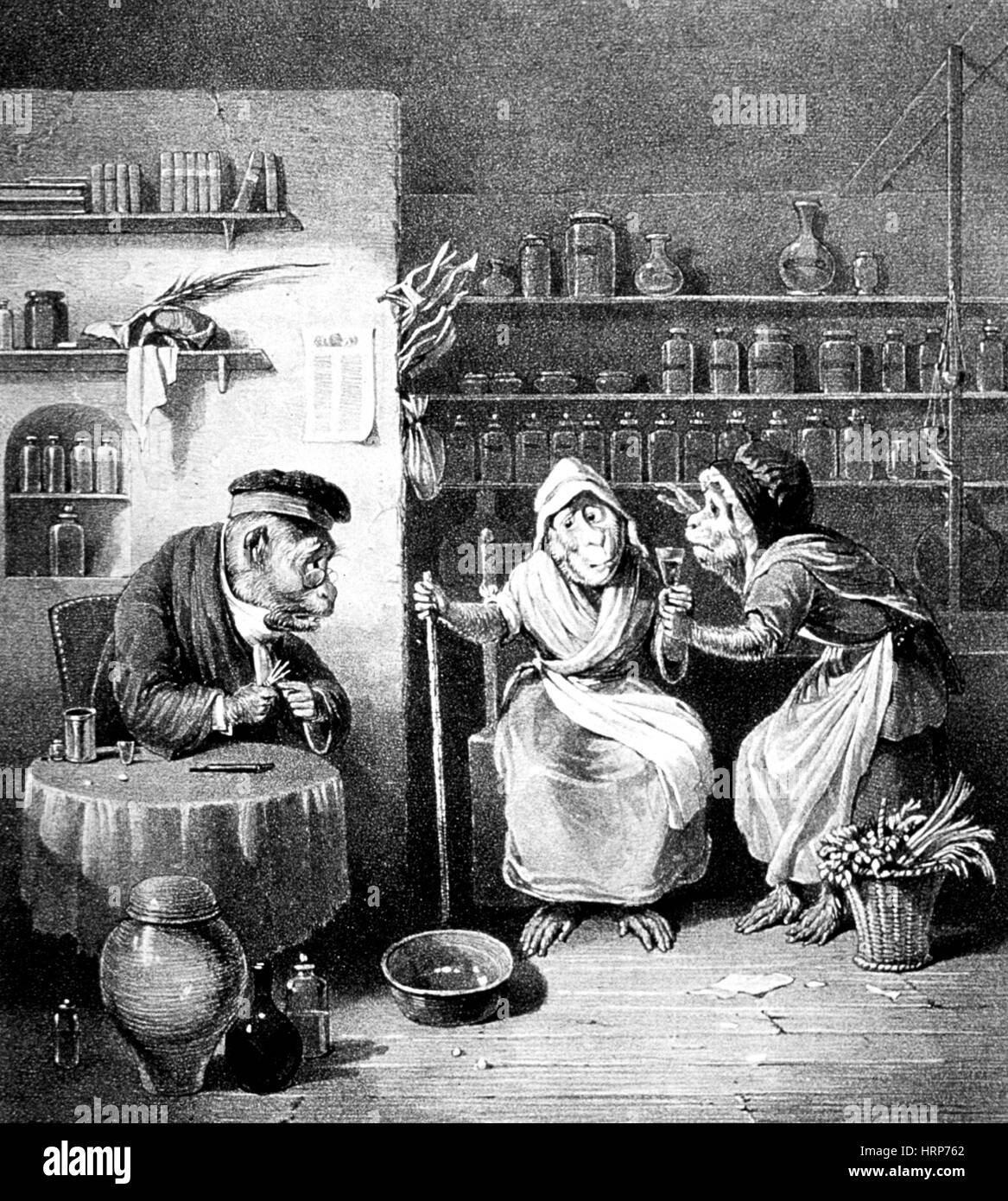The Phlebotomist, 1828 Stock Photo
