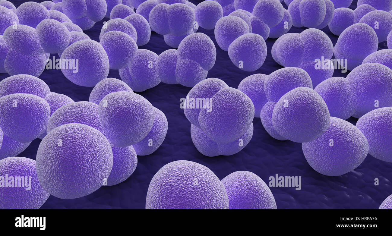 some staphylococcus under the microscope (3d render) Stock Photo