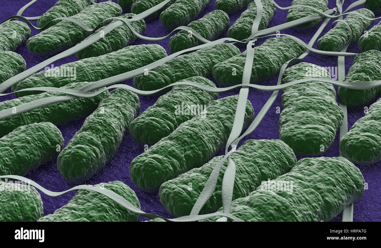 some salmonella bacteria under the microscope (3d render Stock Photo