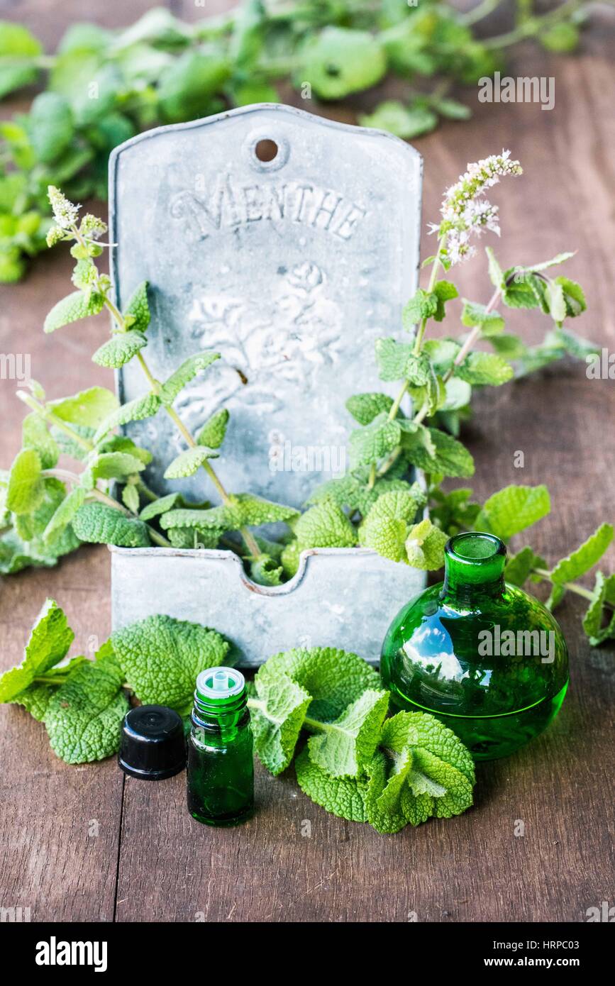 Essential oil of rmint Stock Photo - Alamy