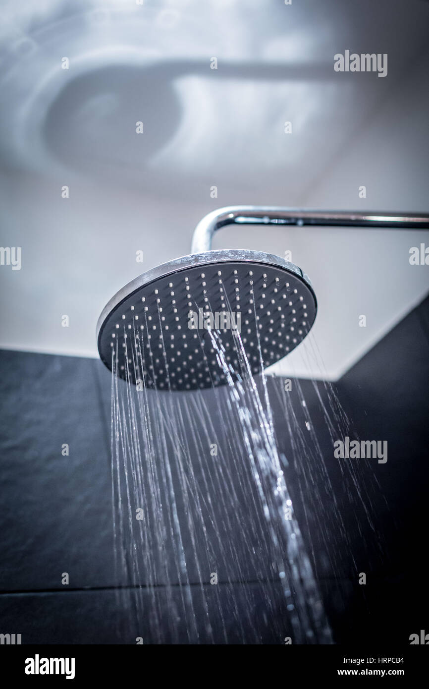 Legionella pneumophila hires stock photography and images Alamy