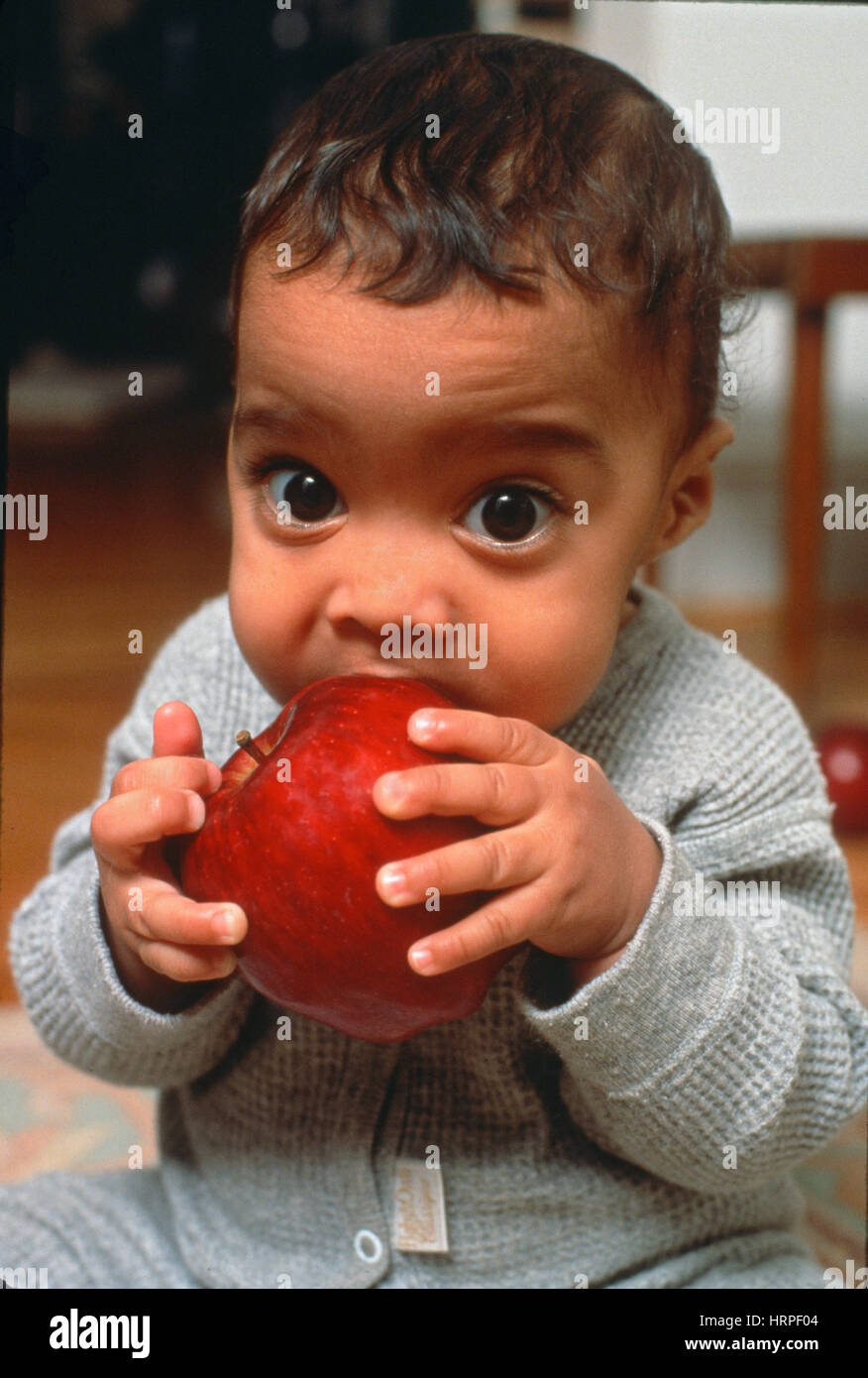 6 month year old boy negotiating a big apple. Stock Photo