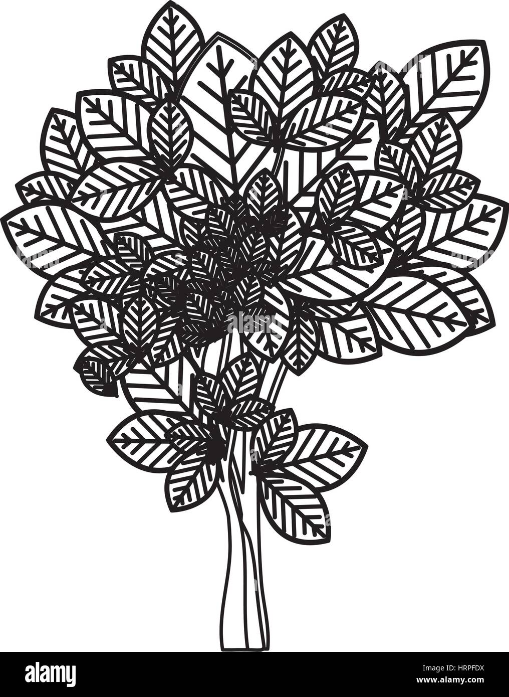 sketch silhouette leafy tree with ramifications nature icon Stock ...