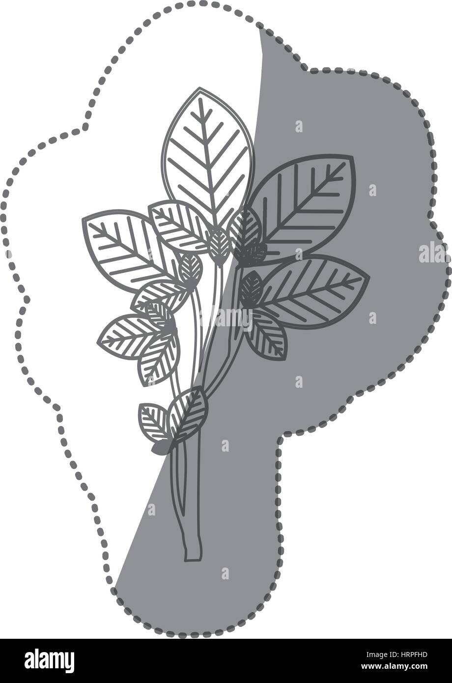 sticker gray color ramifications with oval leaves nature icon Stock ...