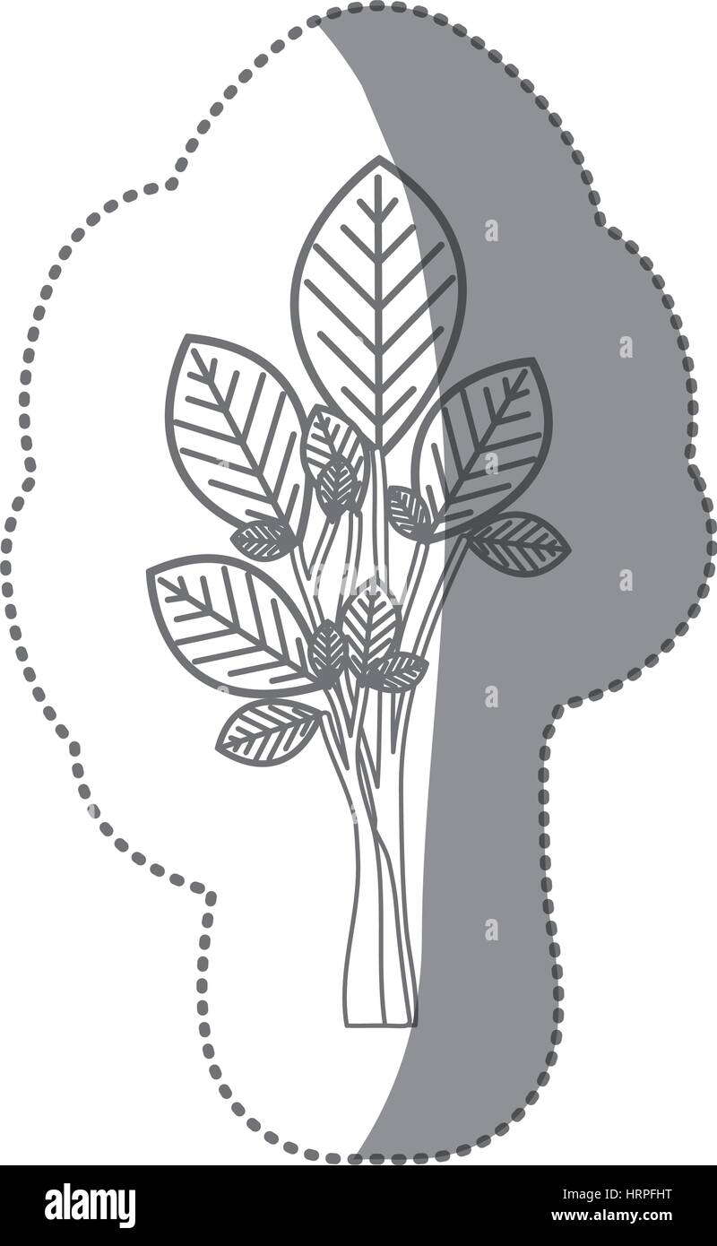 sticker gray color ramifications with oval leaves plant icon Stock ...