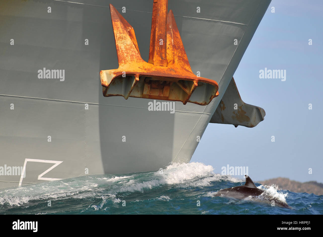 Close up of the bow and anchor of a Naval vessel at sea with Dolphin in its bow wave. Stock Photo