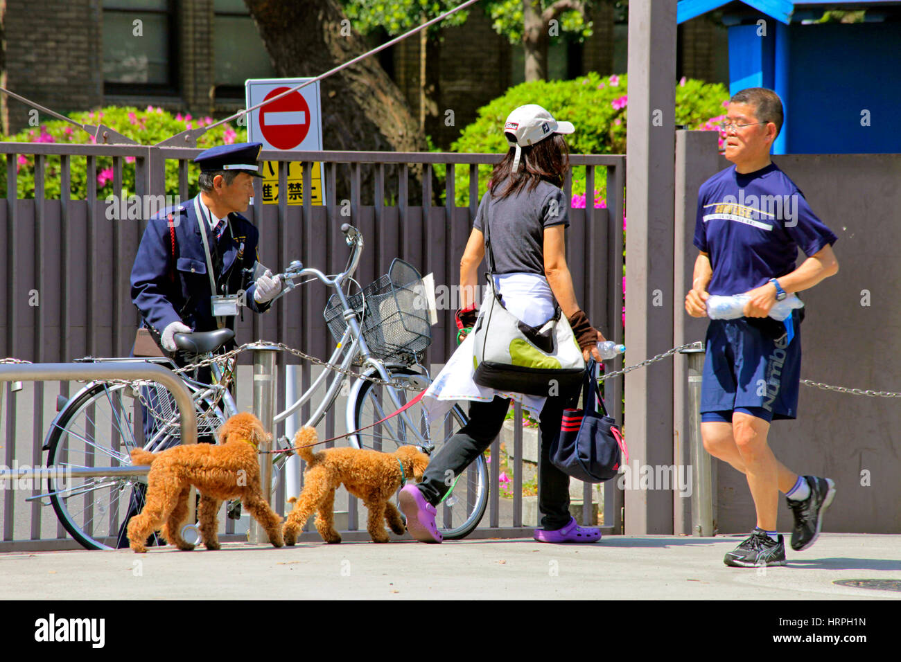 Walking with Dogs in Tokyo Japan Stock Photo Alamy