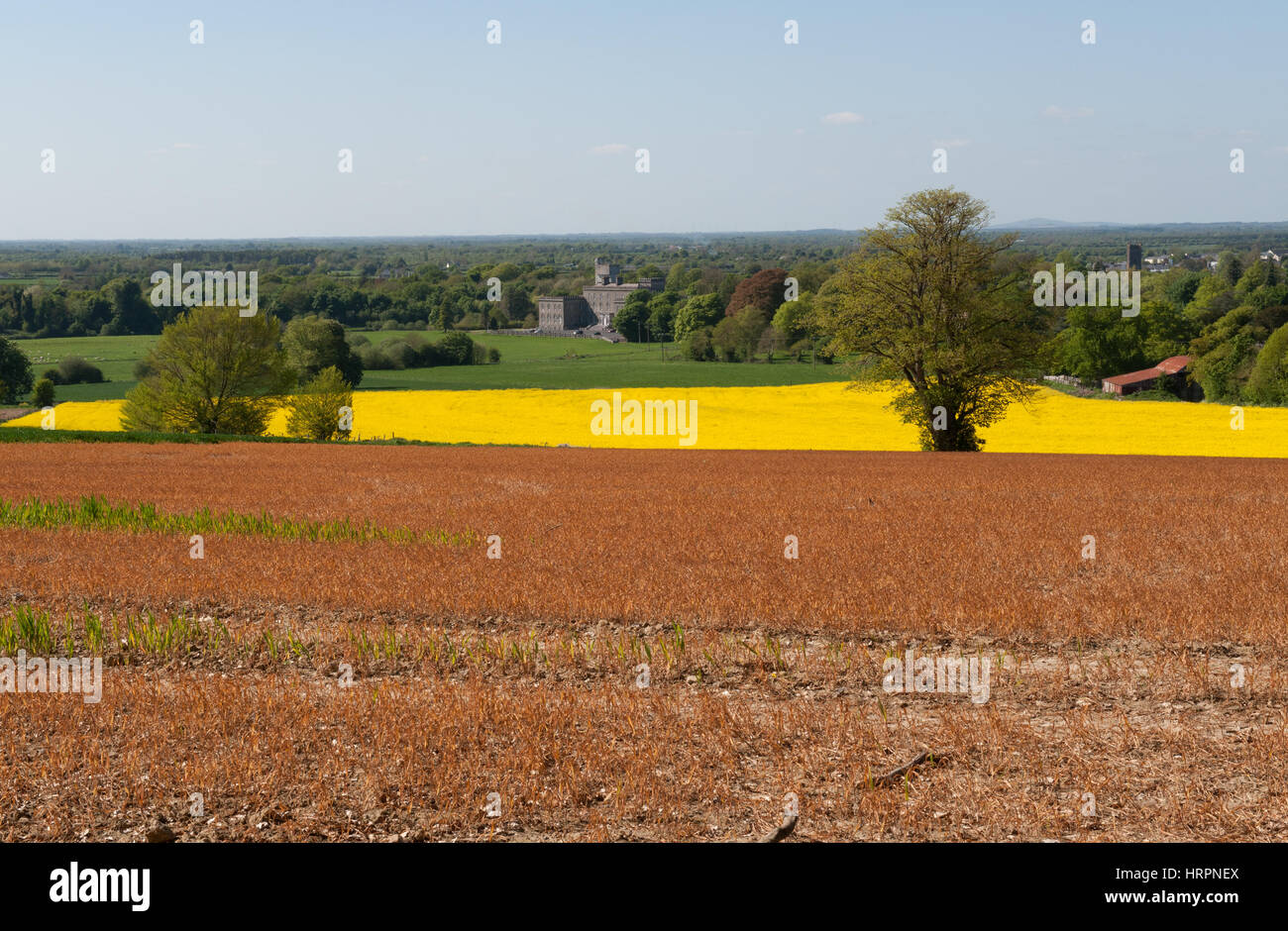 Beautiful colourful Spring fields In Ireland Stock Photo