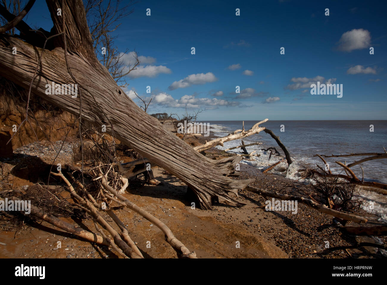 Benacre Beach Suffolk England Stock Photo Alamy