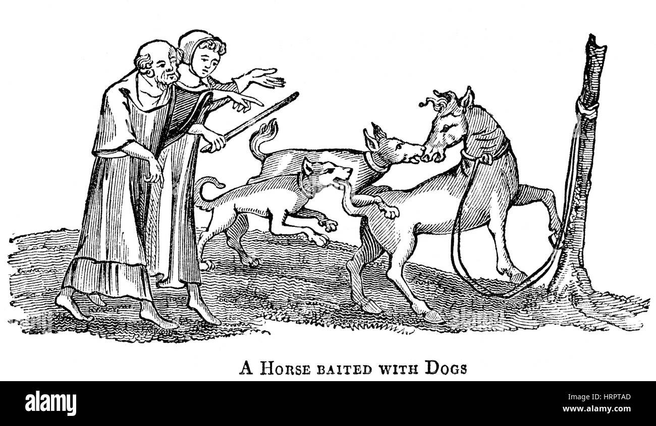 An illustration of a Horse Baited with Dogs in the 14th Century scanned at high resolution from a book printed in 1831.  Believed copyright free. Stock Photo
