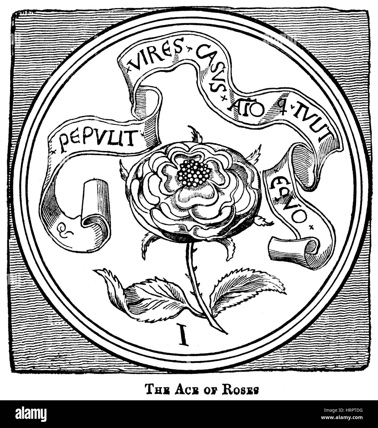Illustration of The Ace of Roses on a Playing Card in the 15th Century scanned at high resolution from a book printed in 1831. Believed copyright free Stock Photo