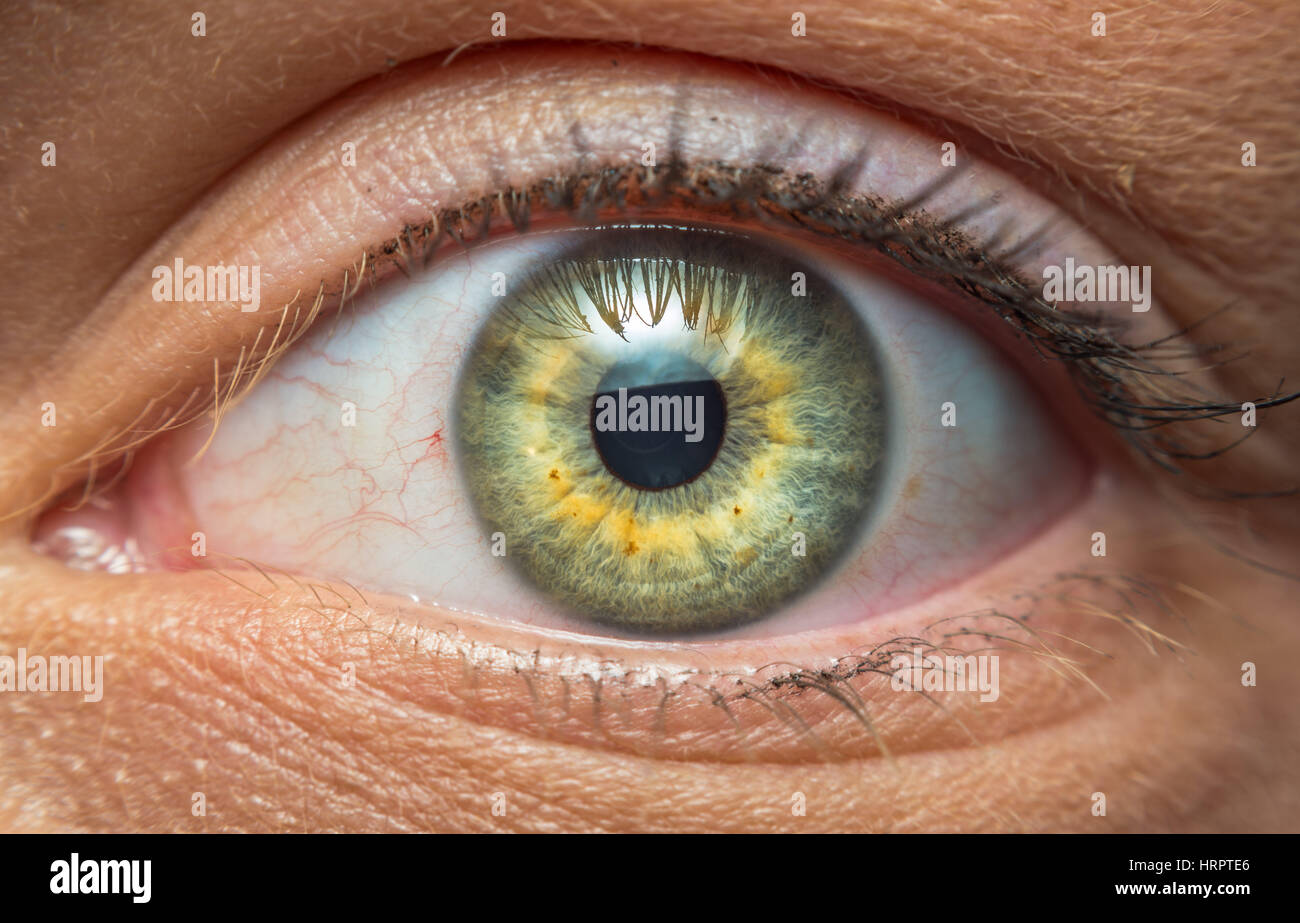 Close up of the eye of an American woman Stock Photo
