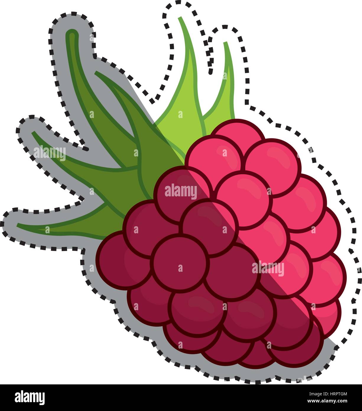 raspberry delicious fruit Stock Vector Image & Art - Alamy