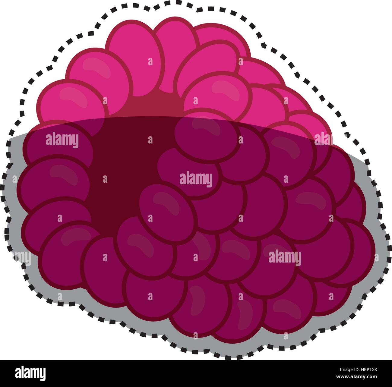raspberry delicious fruit Stock Vector Image & Art - Alamy