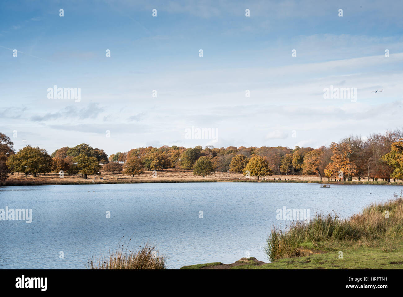 Richmond Park London Stock Photo Alamy