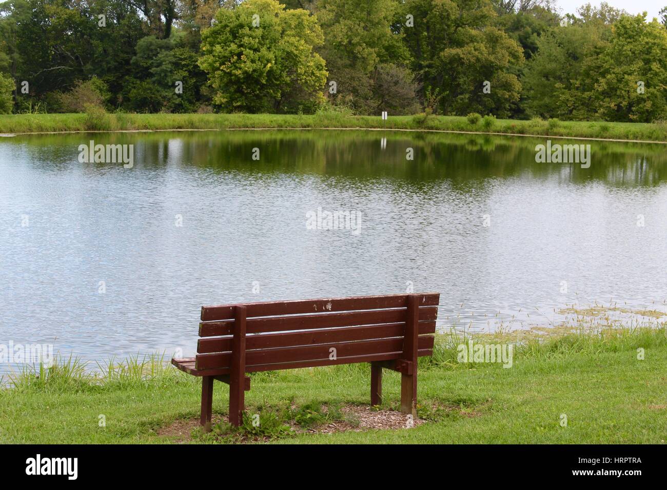 Behind a empty bench by the lake Stock Photo - Alamy