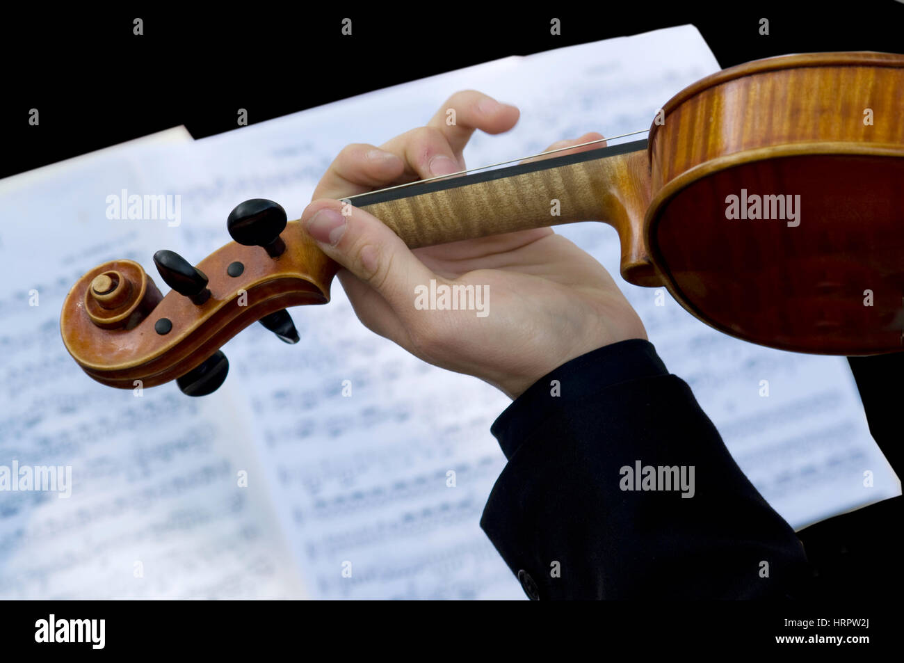 Play the violin according to the score Stock Photo Alamy
