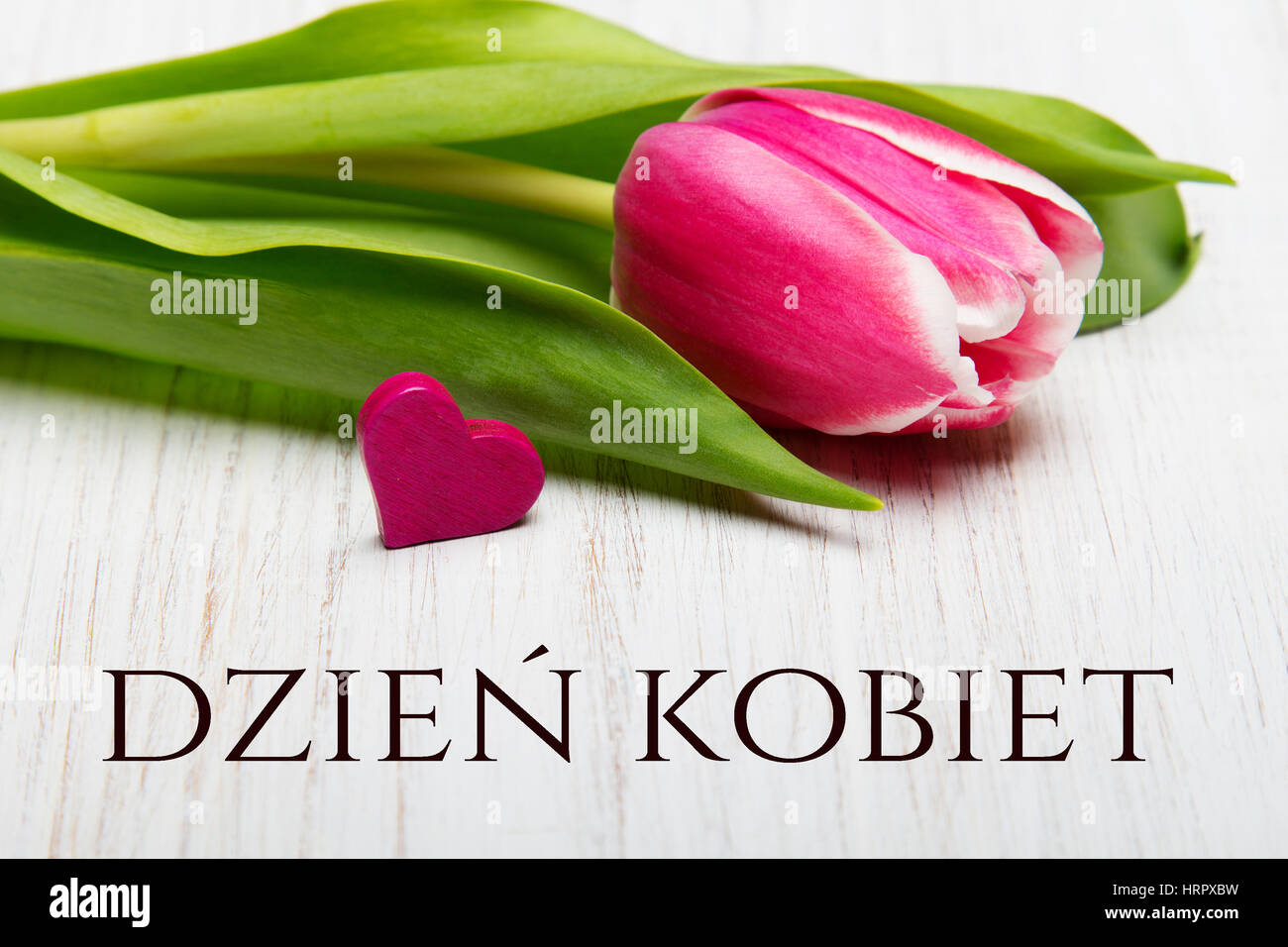 Miedzynarodowy Dzien Kobiet High Resolution Stock Photography and Images -  Alamy