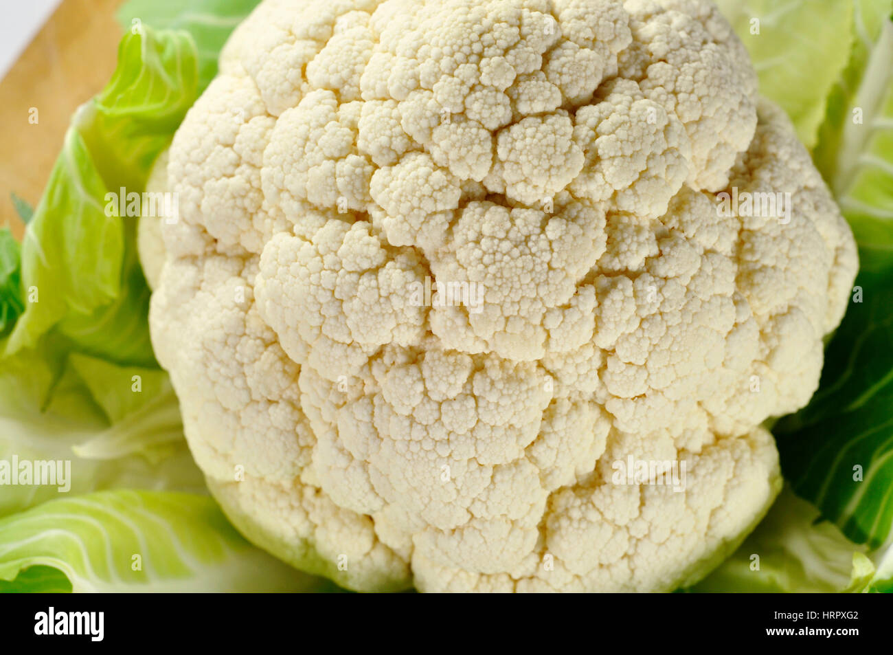 A Head of Cauliflower Stock Photo