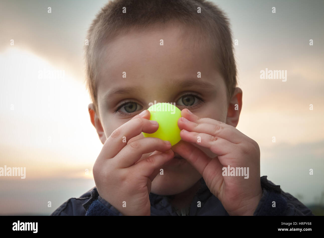 Ping Pong Ball Stock Photos Ping Pong Ball Stock Images Alamy