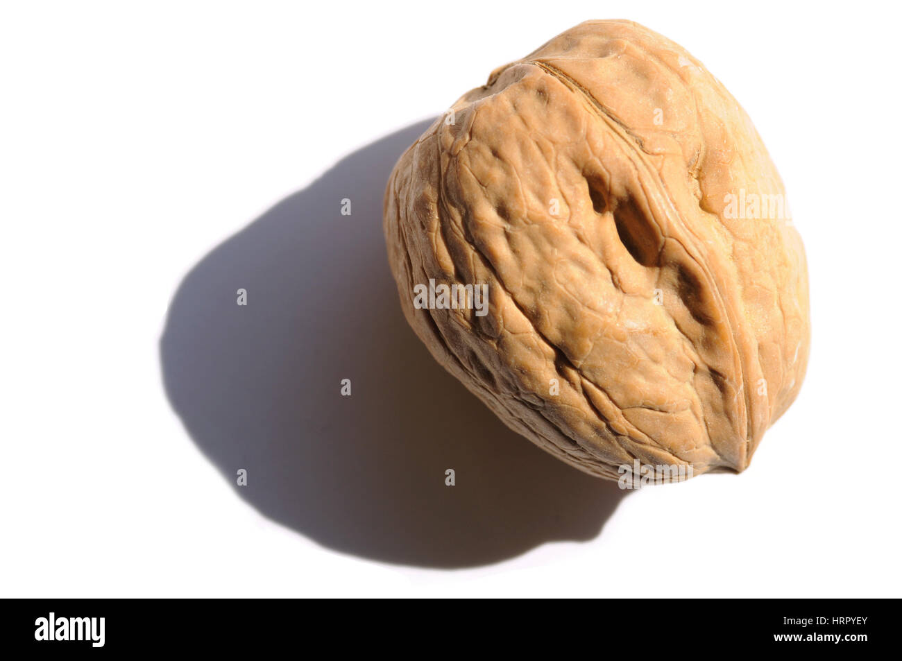 Walnuts Stock Photo