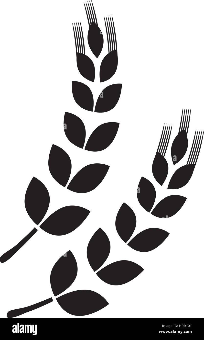 Wheat natural food Stock Vector Image & Art - Alamy