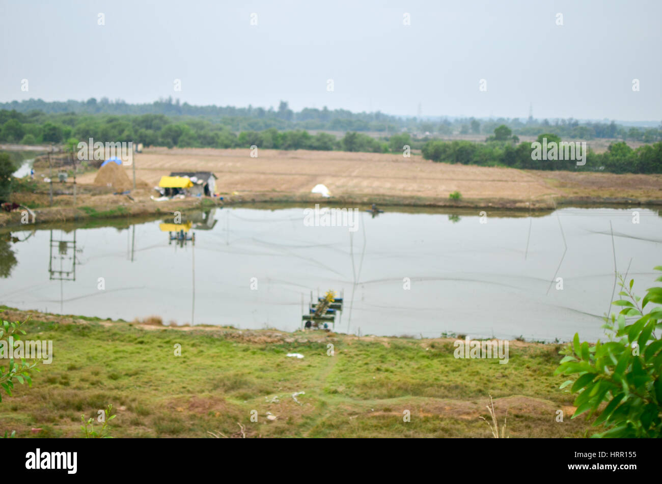 Rural fish farming Stock Photo Alamy