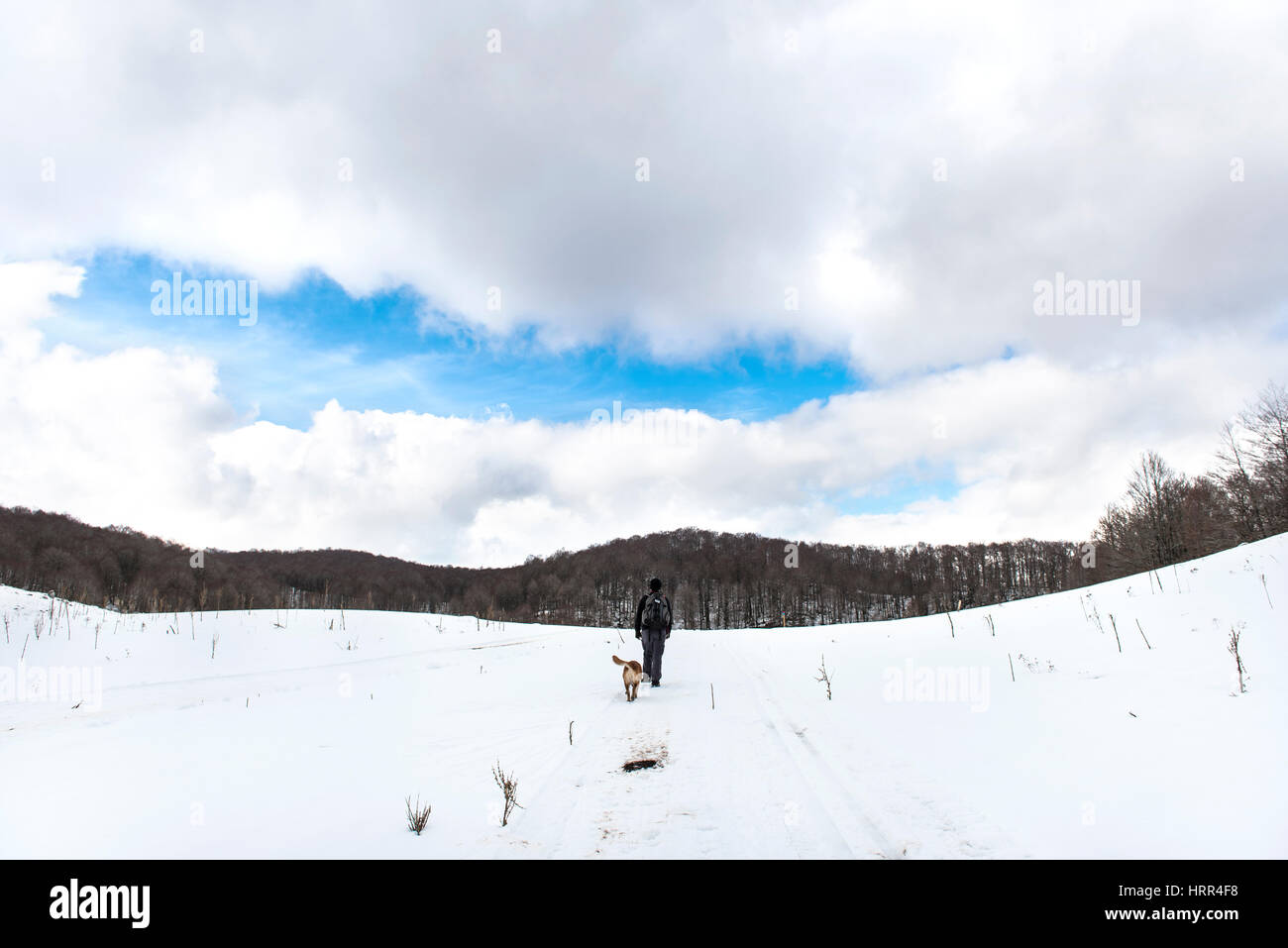 Rear view of a man and his dog walking in winter landscape Stock Photo ...