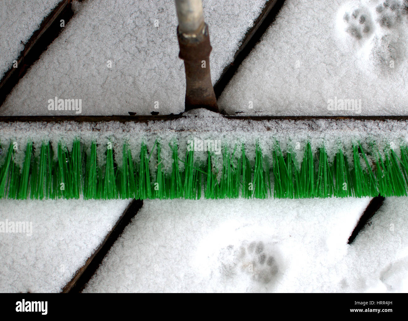 broom on the snow and cat's traces arround Stock Photo