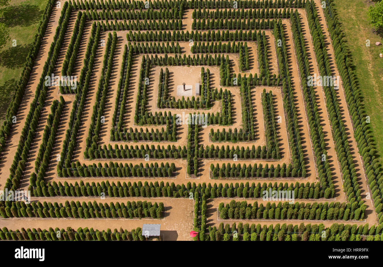 Maze with hedges, hedge maze, maze, Brandenburg, Germany Stock Photo