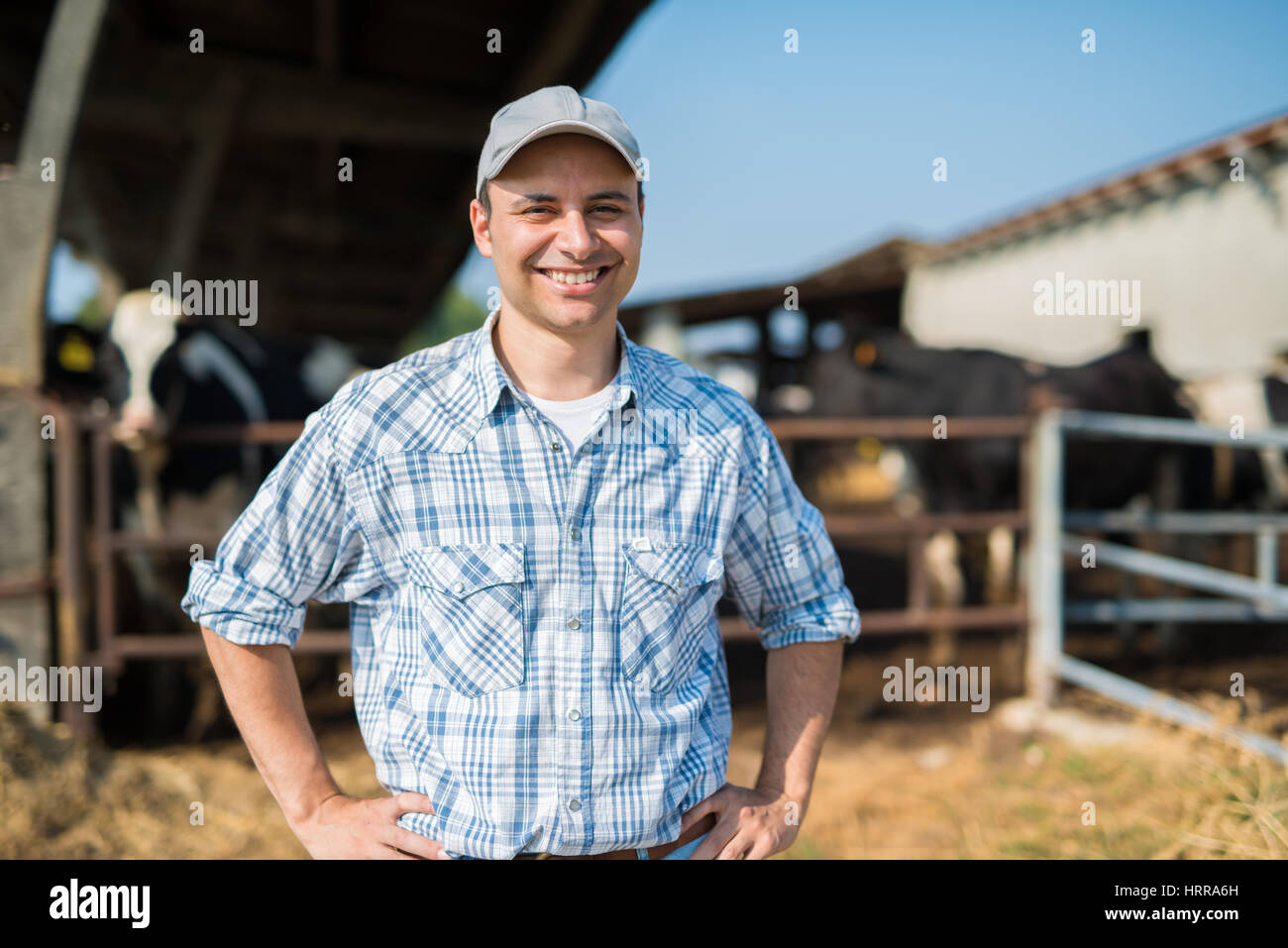 Smiling farmer in front of his cows Stock Photo - Alamy