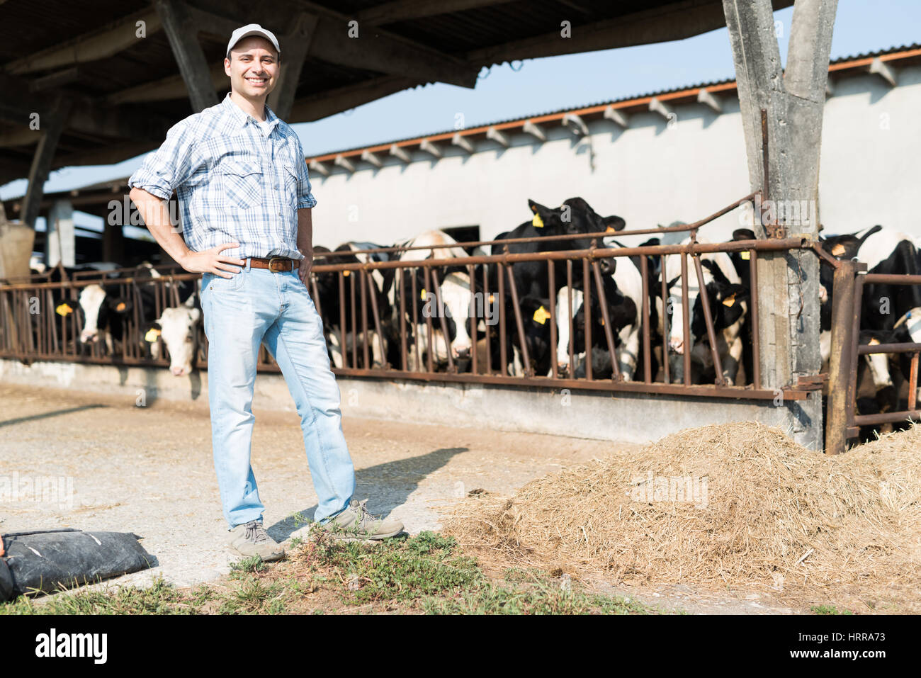 Farmer in front of his cows Stock Photo - Alamy