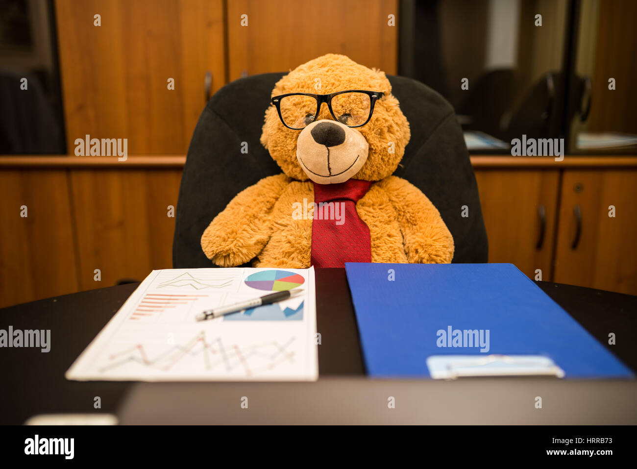 TeddyBear Portraits office