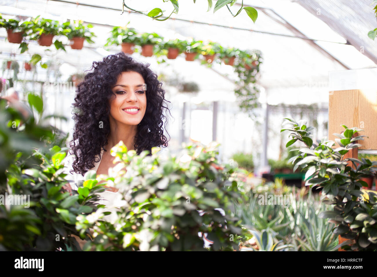 Woman in a greenhouse Stock Photo - Alamy