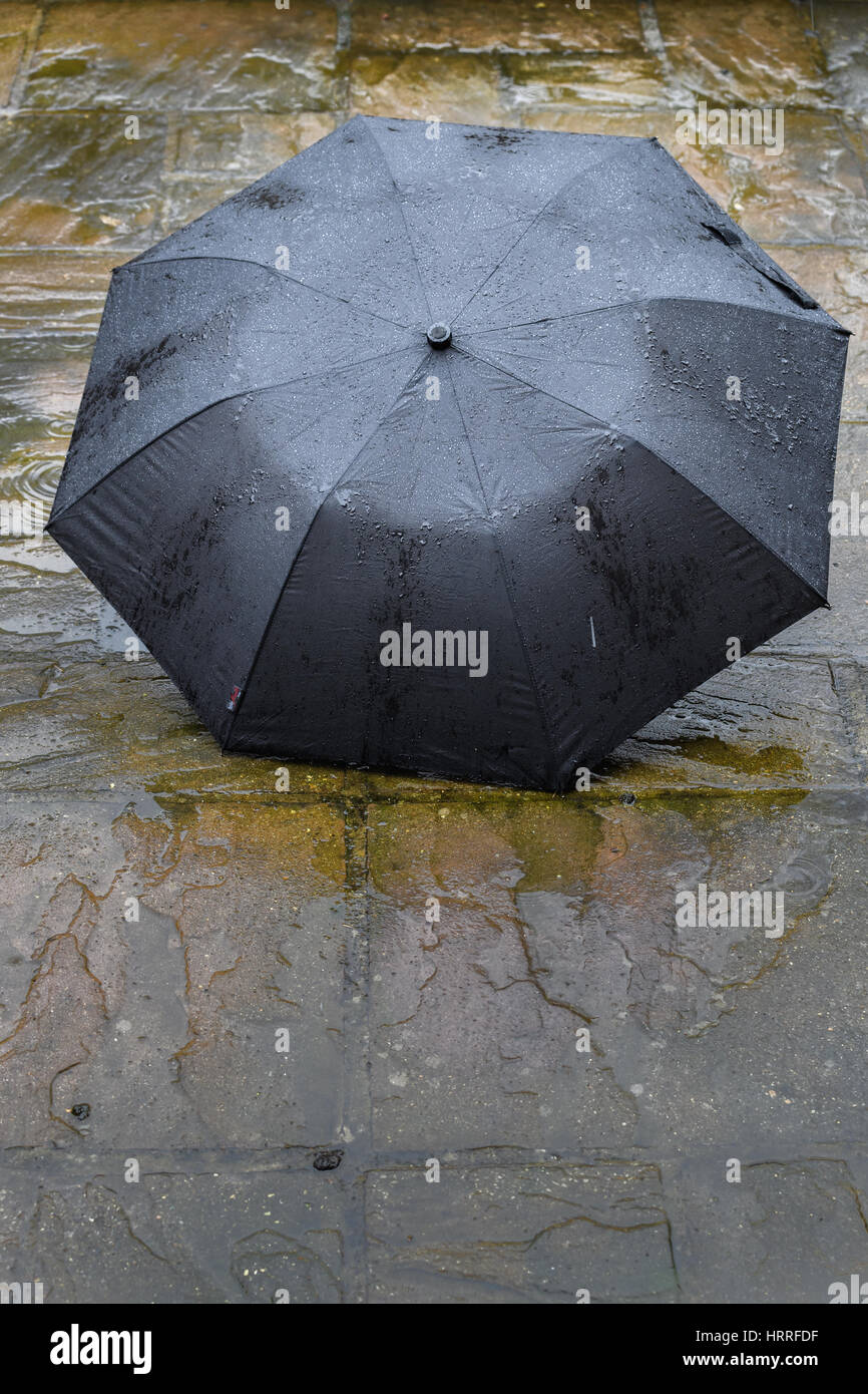 Umbrella Stock Photo