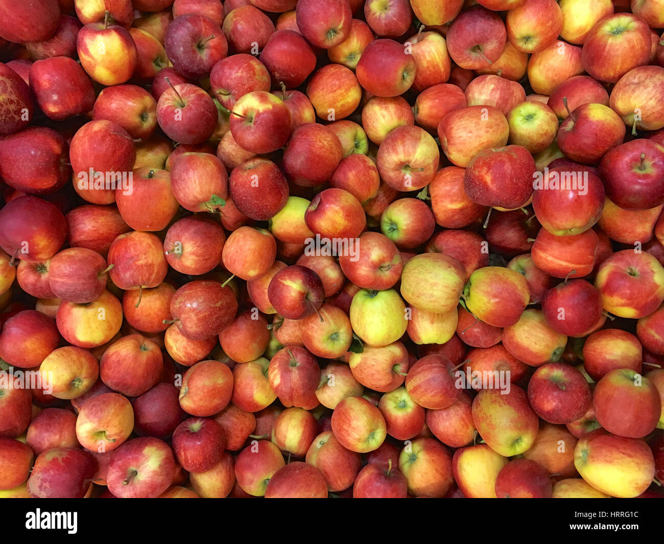 A bunch of red apples Stock Photo Alamy