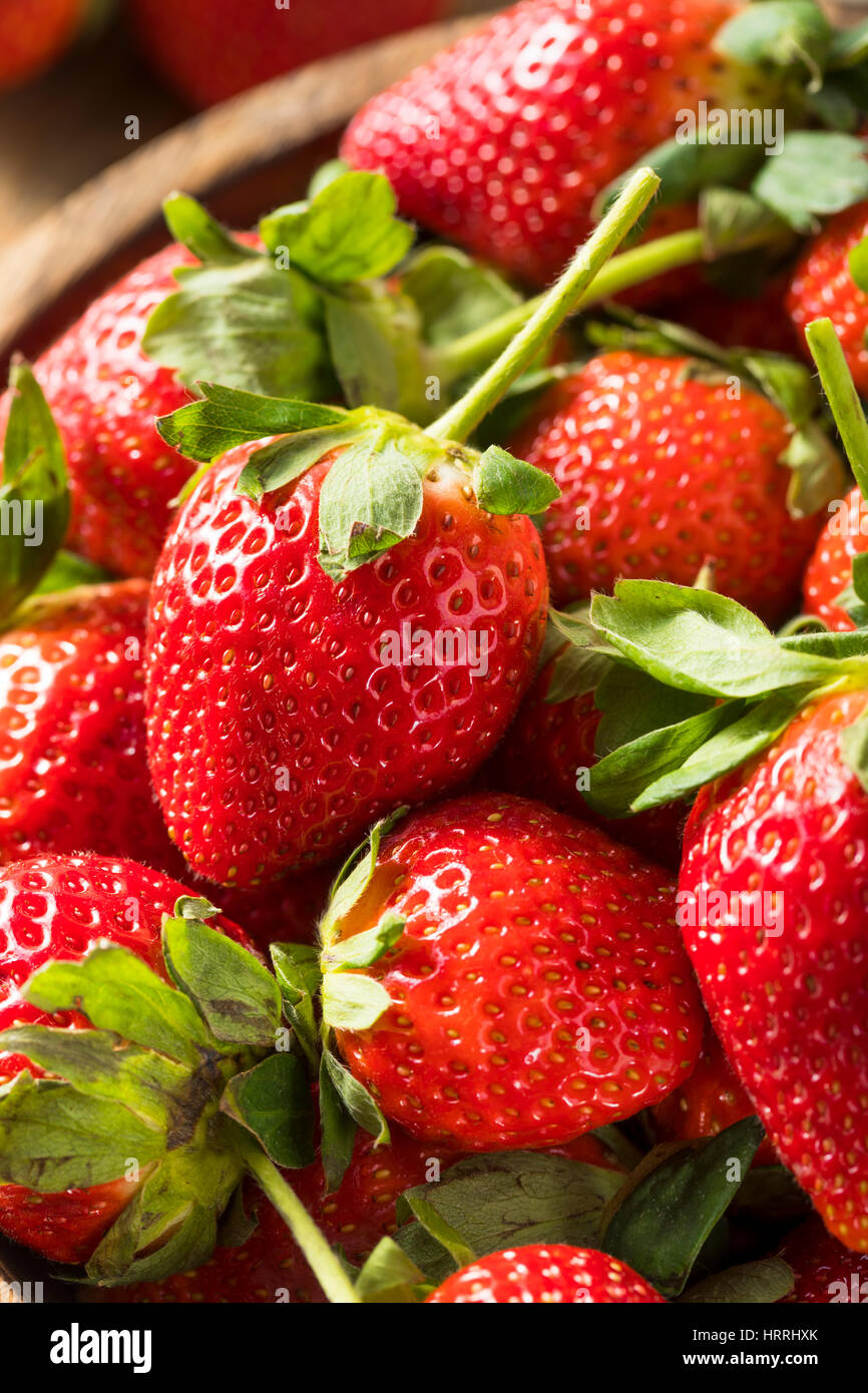 Raw Organic Red Ripe Strawberries Ready to Eat Stock Photo - Alamy