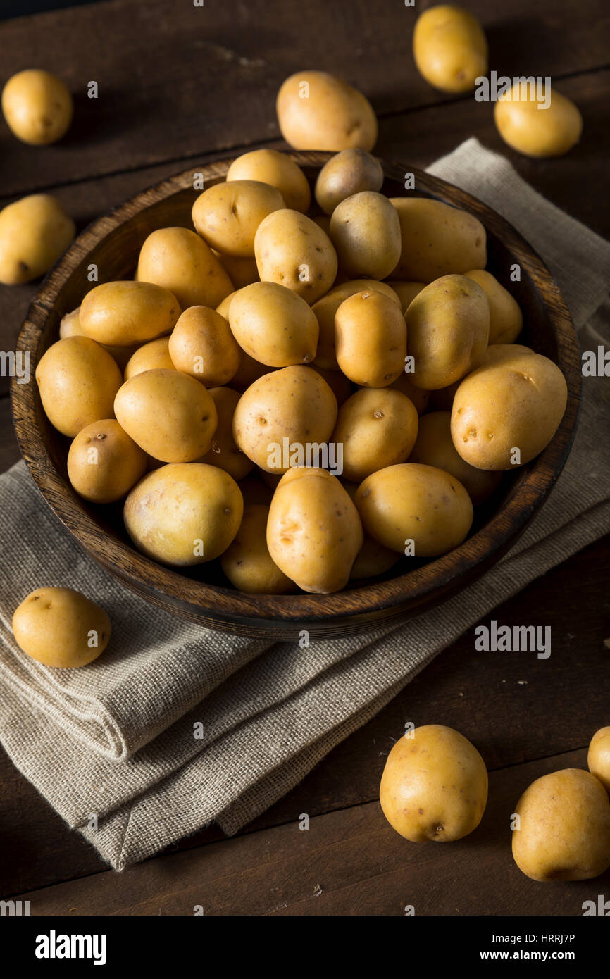 Raw Organic Baby Gold Potatoes Ready to Eat Stock Photo Alamy