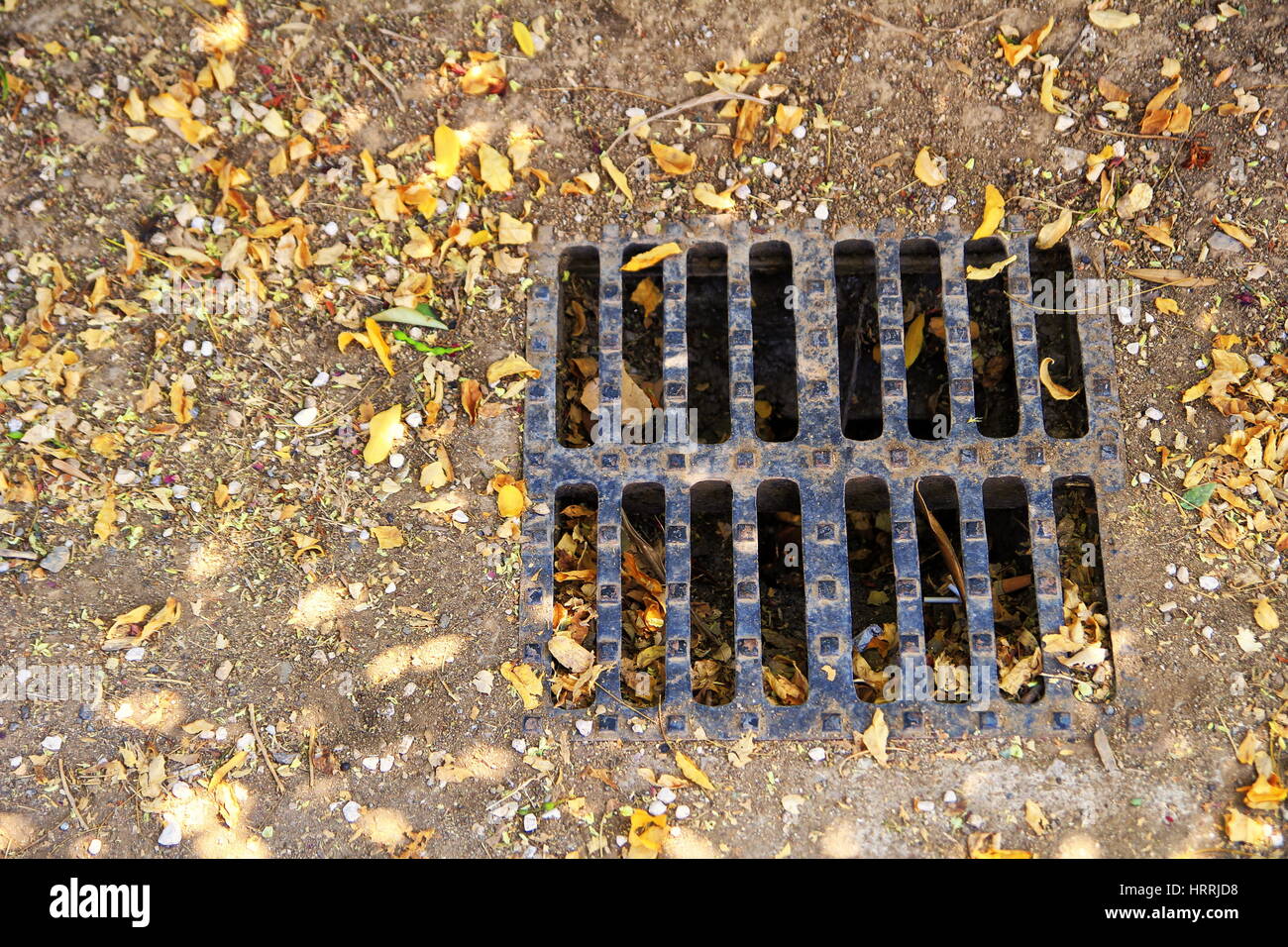Brown leaves around a dry rain water drain grille - drought concept Stock Photo
