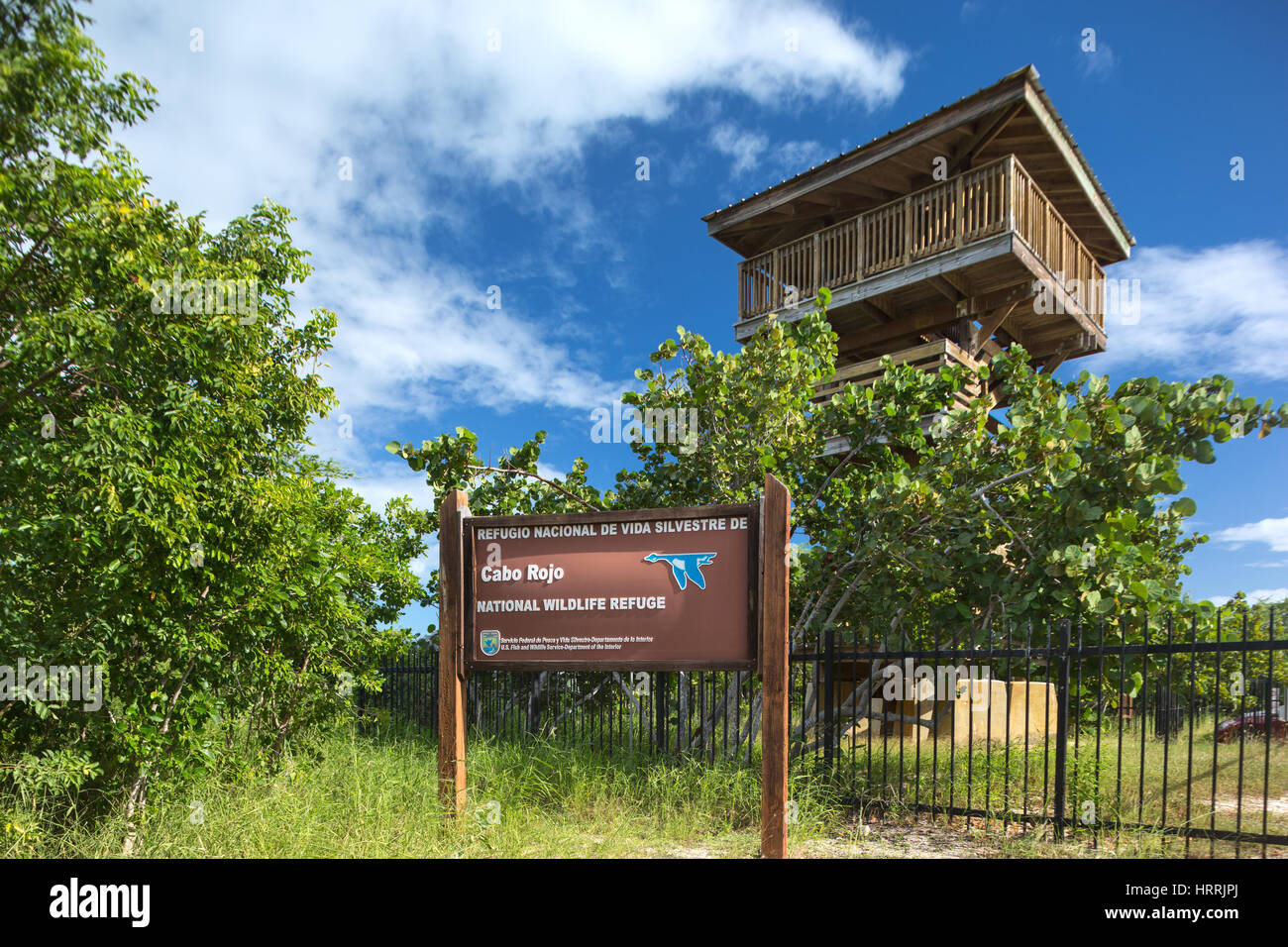 viewing-platfrom-cabo-rojo-national-wildlife-refuge-puerto-rico-stock