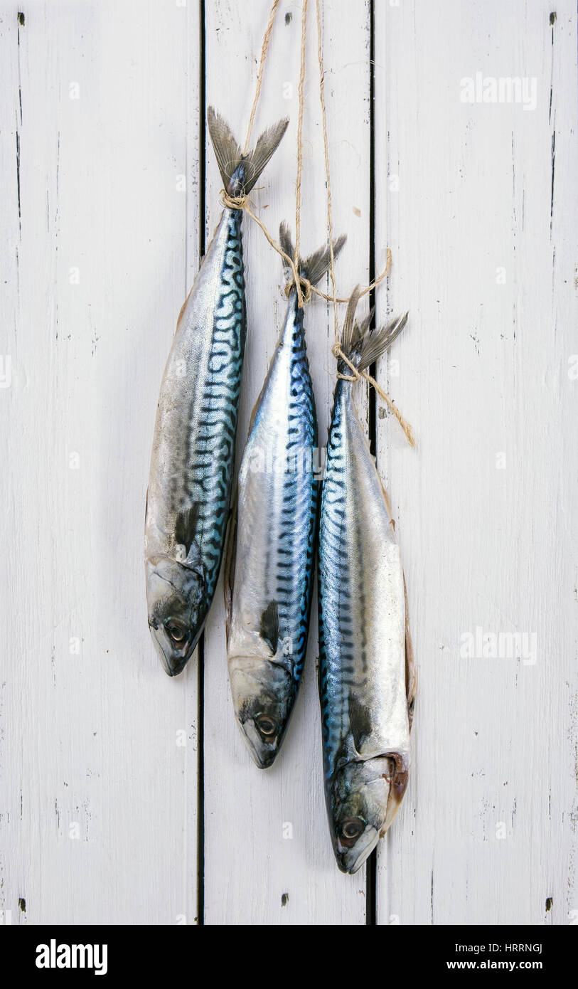 Three Fresh Mackerel hung on an old wooden door with string Stock Photo