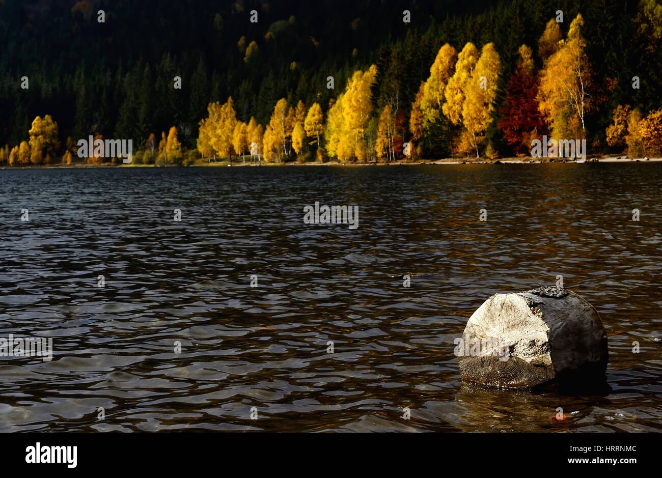 Lake in autumn forest. Beautiful nature background Stock Photo - Alamy