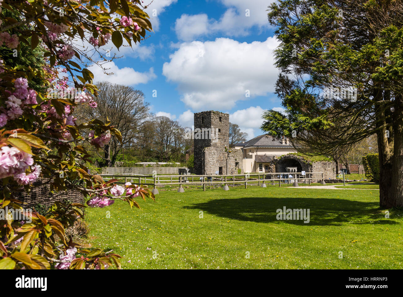 Rushen Abbey, Ballasalla, Isle of Man Stock Photo - Alamy