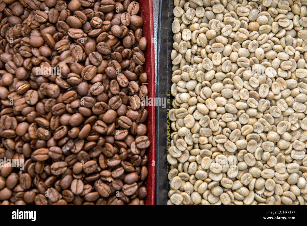 Roasted and unroasted green beans are placed in bins next to one