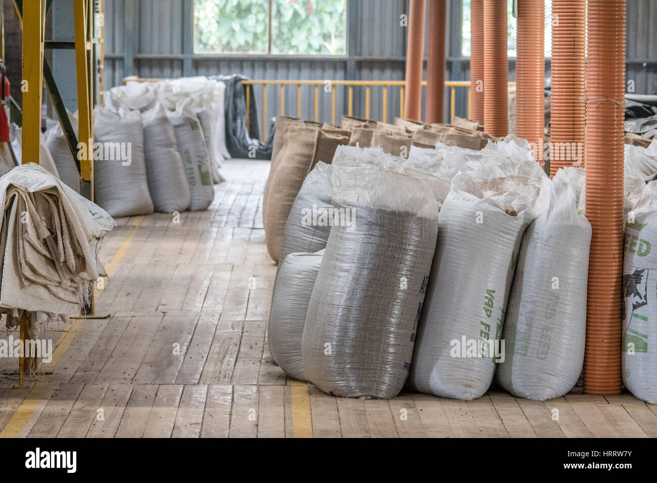 Coffee beans sit packed together in bags at a coffee processing plant in Aquires, Costa Rica. Stock Photo