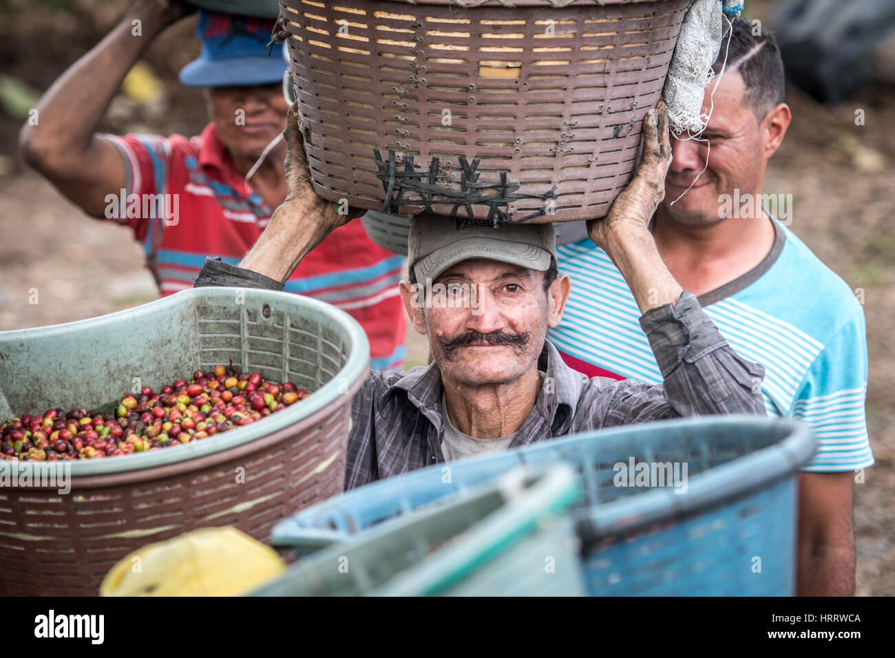 A coffee worker poses for a photograph on a coffee farm in Aquires