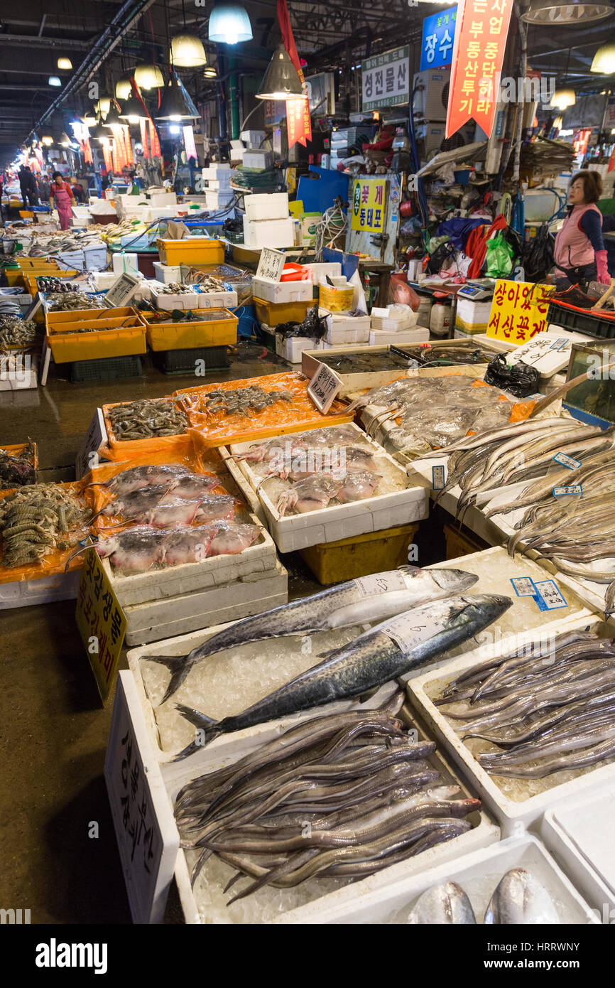 Fish and other seafood and people at the Noryangjin Fisheries Wholesale