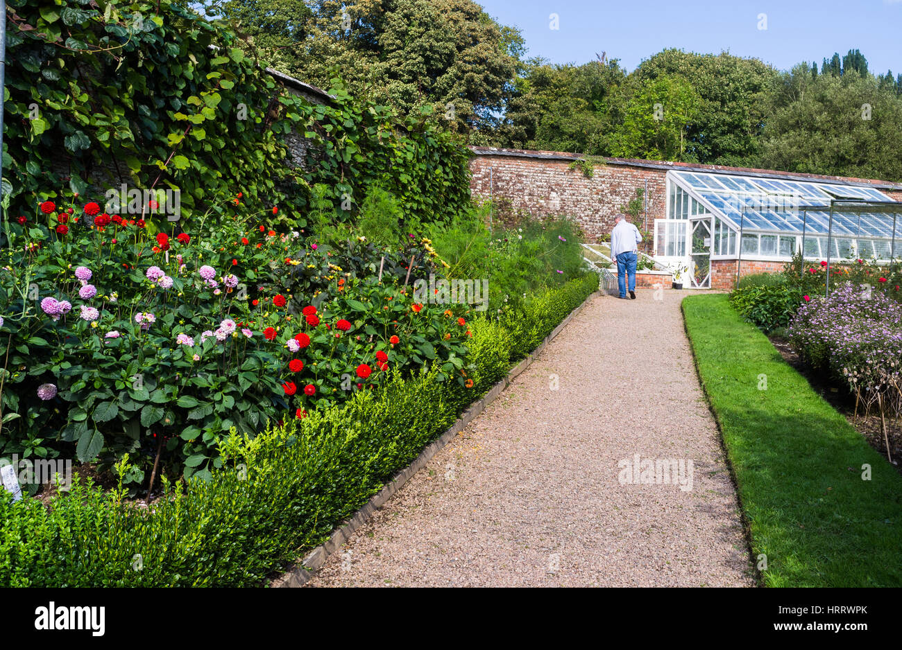 Formal topiary manor house hi-res stock photography and images - Alamy
