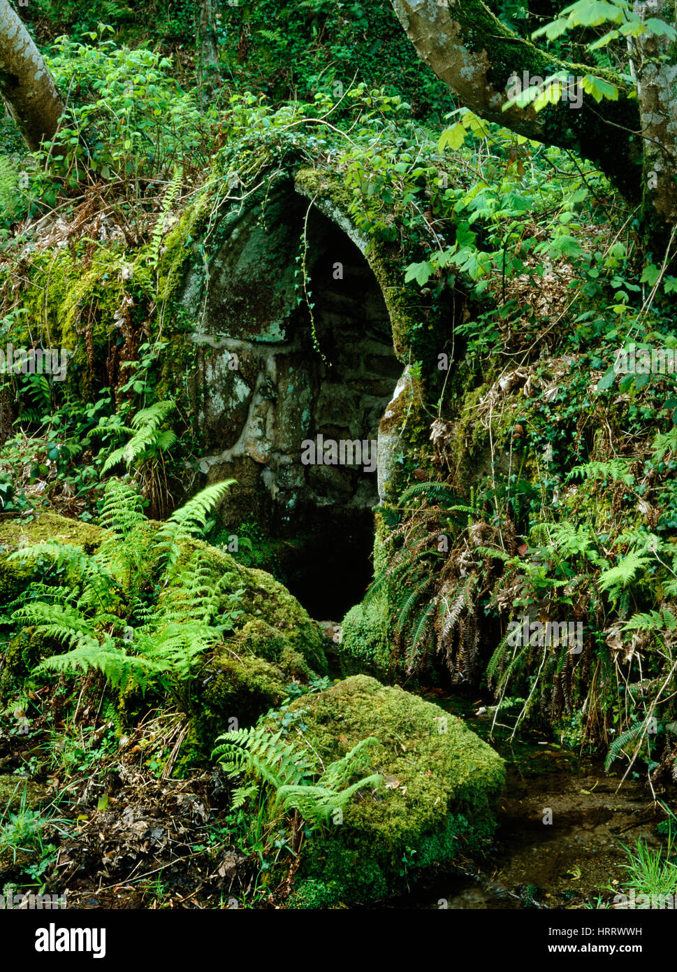 Rectangular well chamber and arched stone cover of St Gundred's Well, aka Roche 'Divination Well' near St Austell, Cornwall. Stock Photo