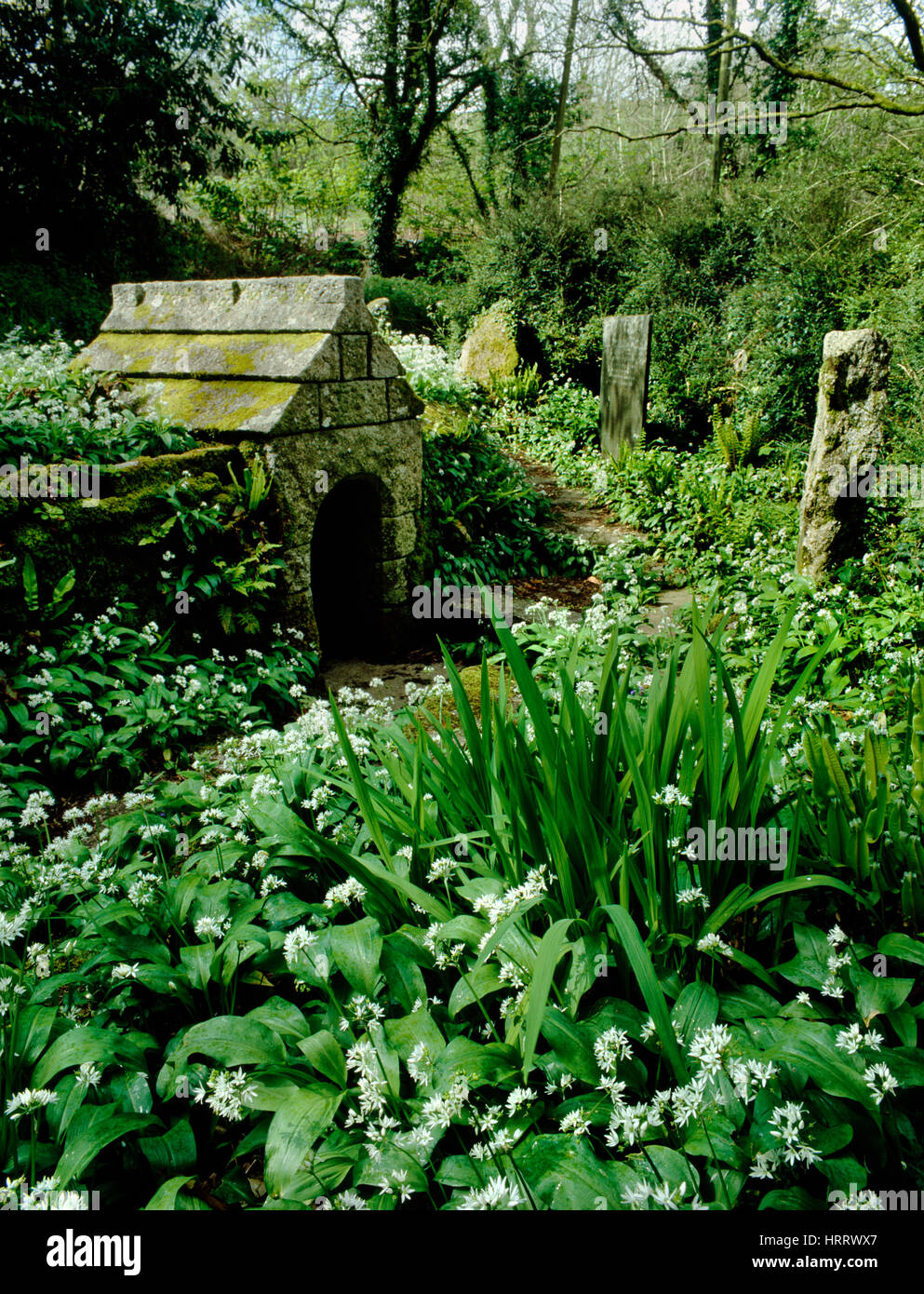 St keyne’s well hi-res stock photography and images - Alamy